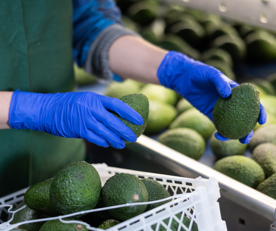 Rumex - inpak en verpakwerk
